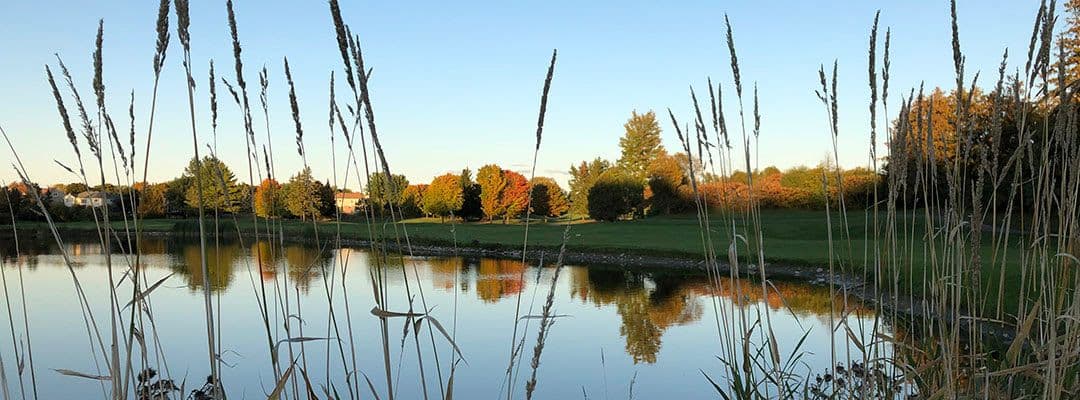 Advocates call on province to intervene to stop redevelopment of Ottawa golf course