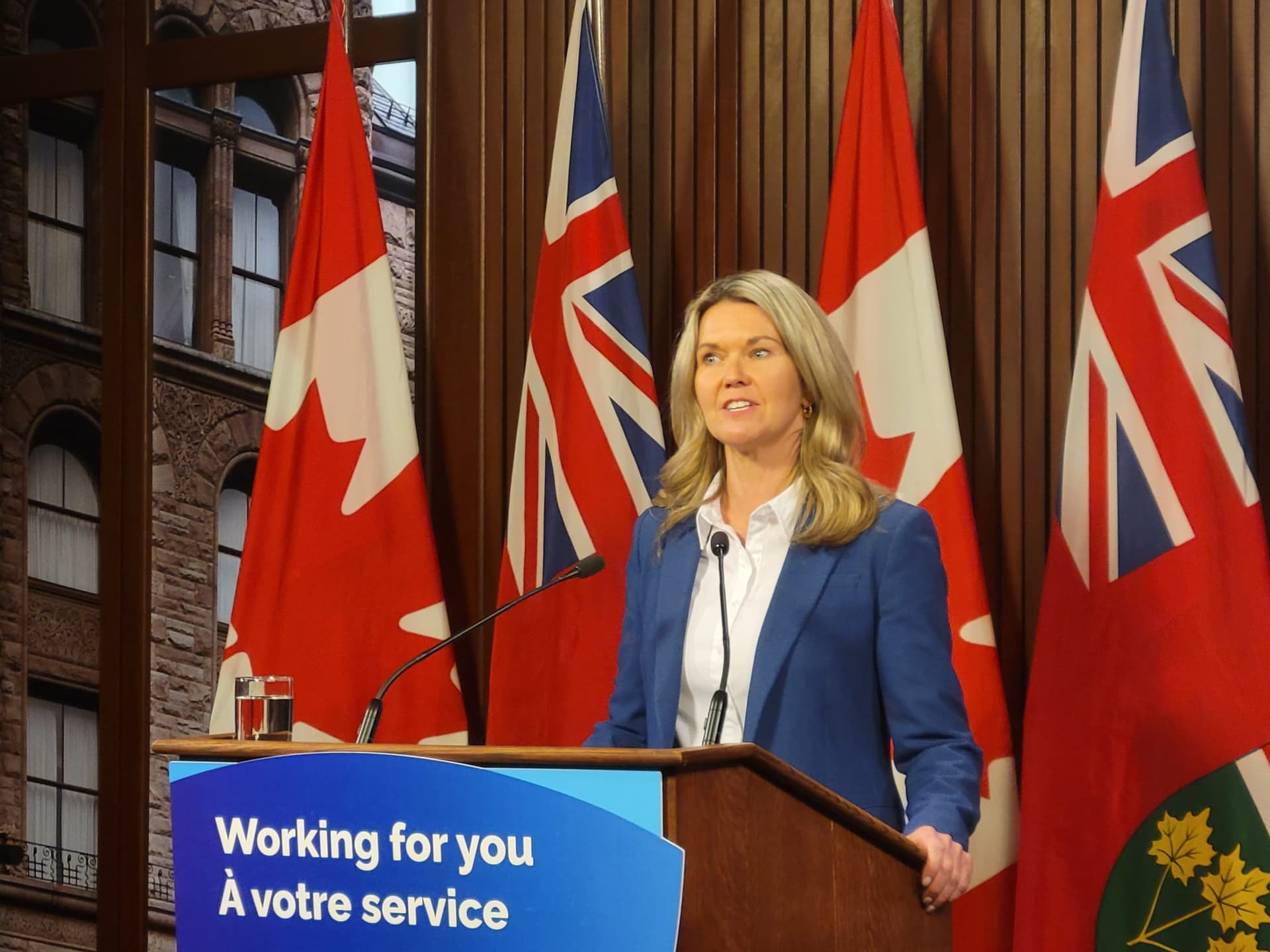 Ontario announces $1.3 billion for post-secondary institutions, but critics say this doesn't go far enough