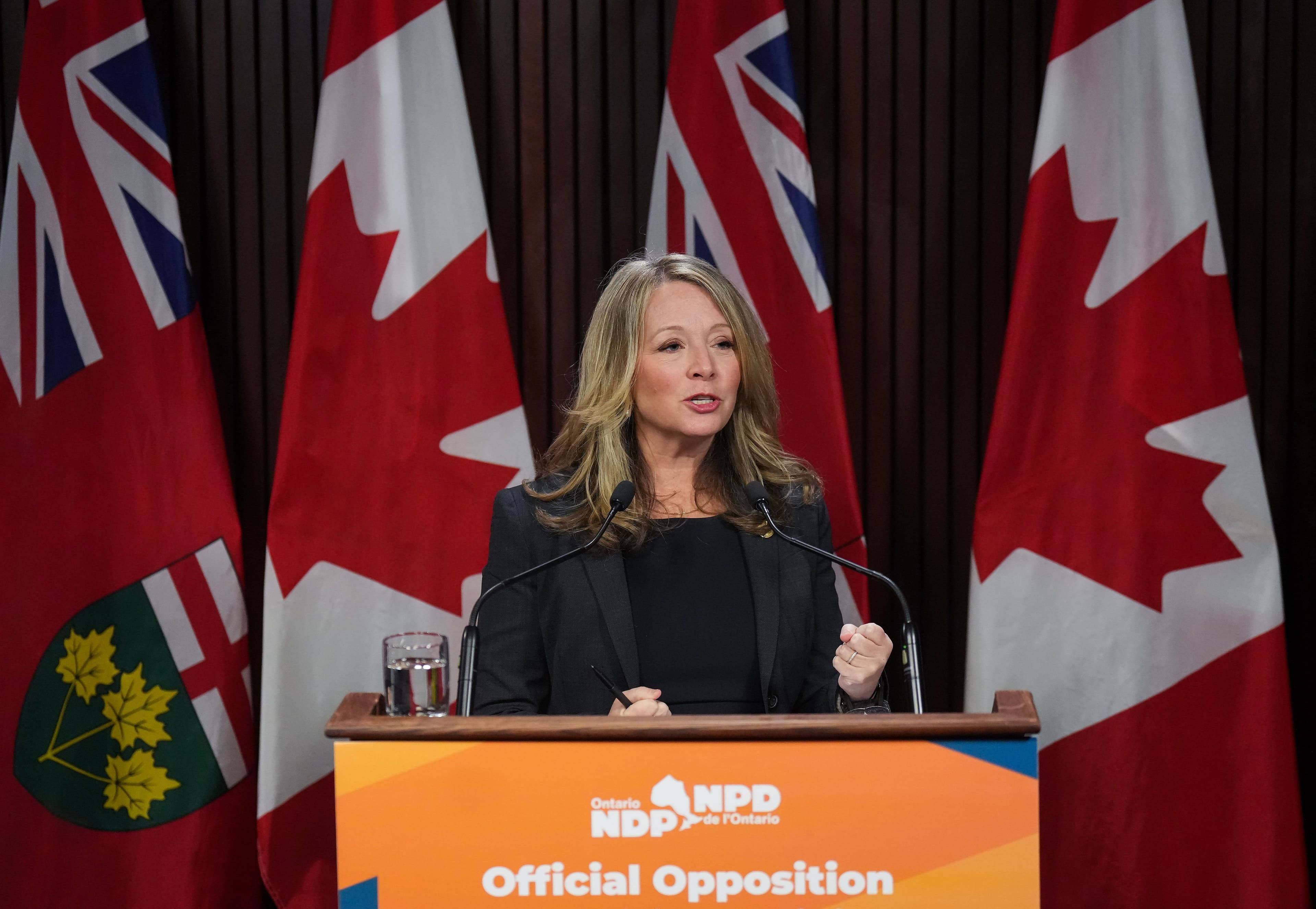Mayor central to NDP's latest Greenbelt land swap complaint rebuffs claims