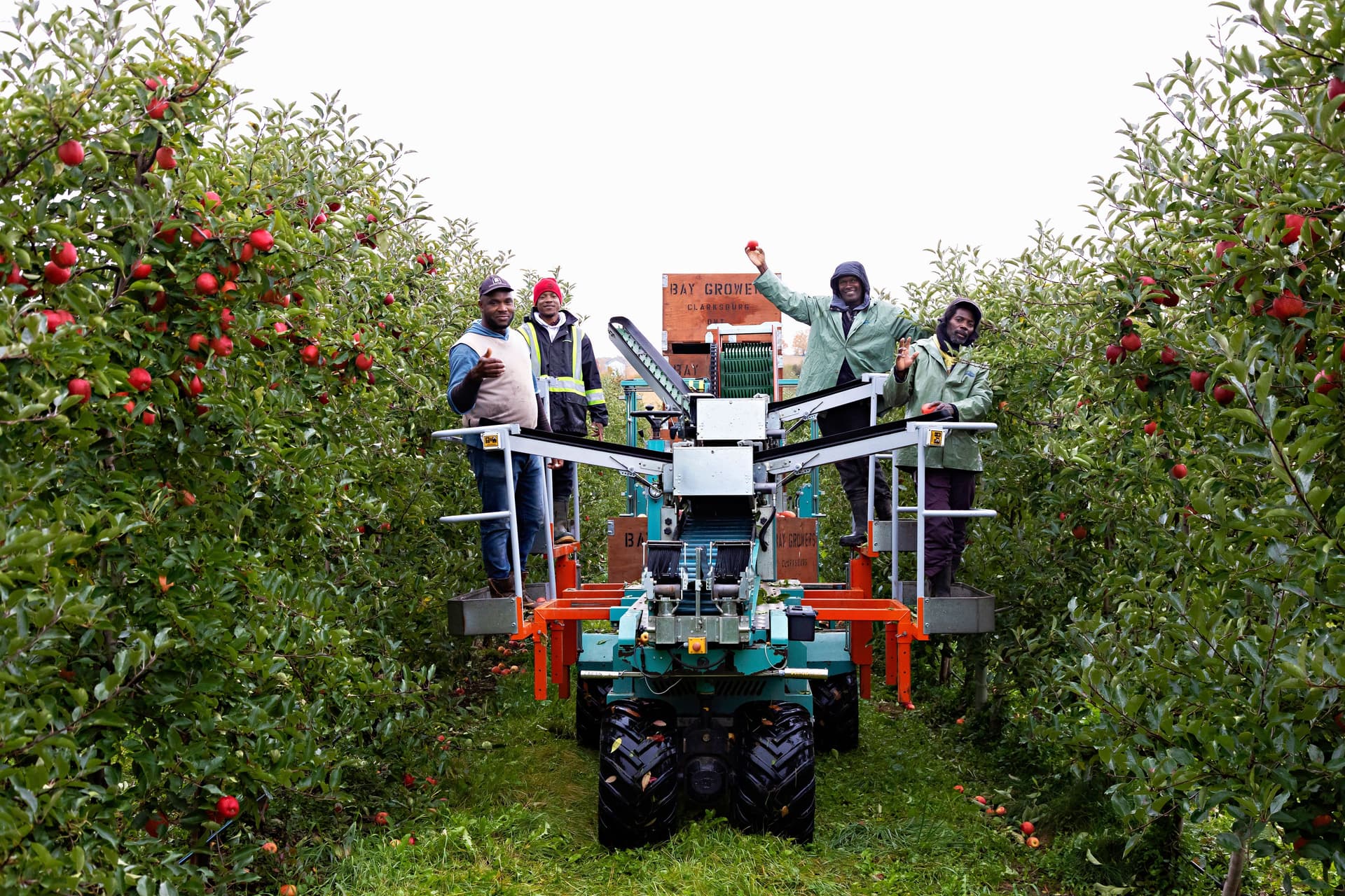 Ontario’s Commitment to International Agriculture Worker Wellbeing