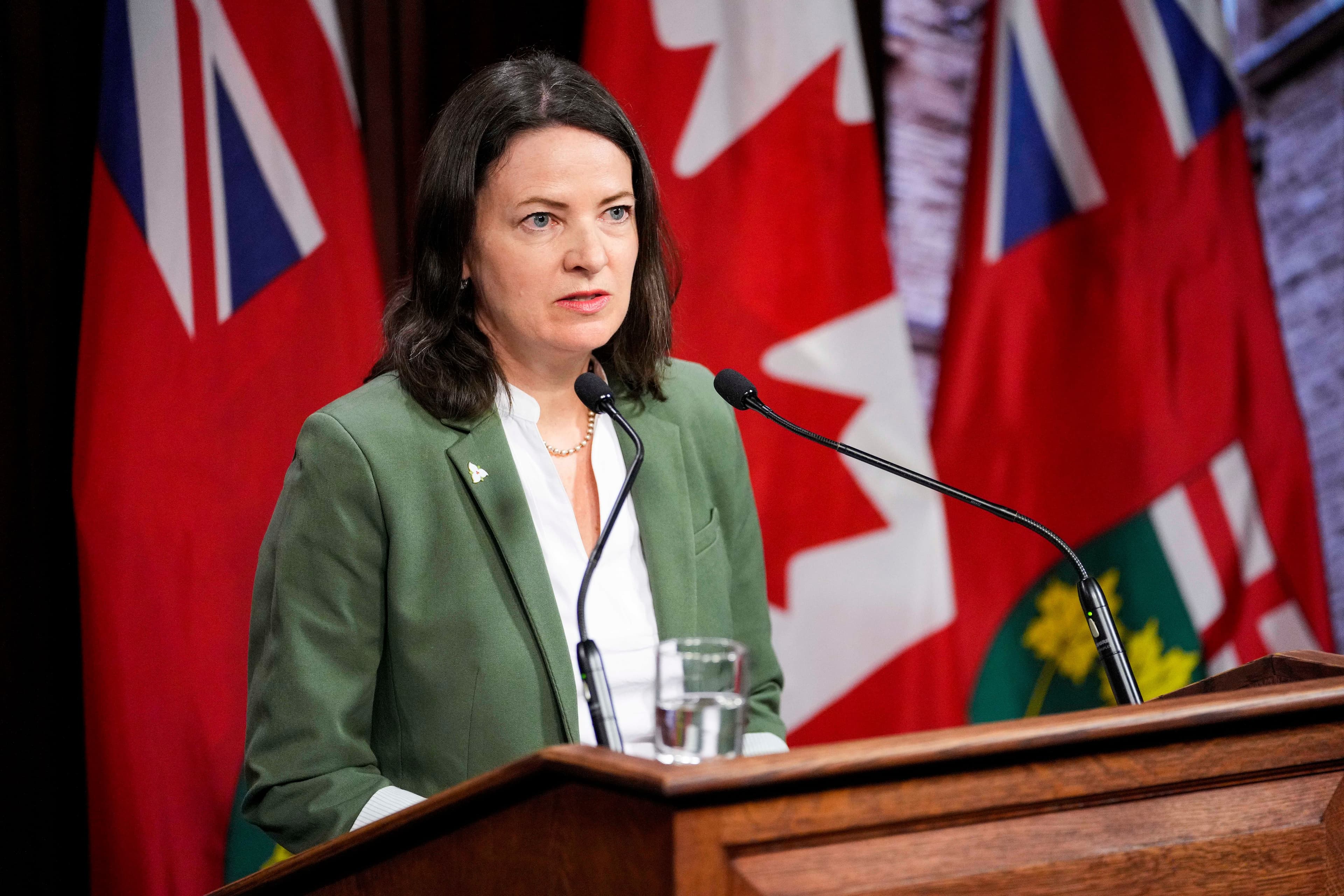 MPP Stephanie Bowman set to join Ontario Liberal leadership race